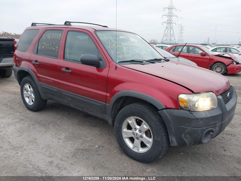 2006 Ford Escape Xlt VIN: 1FMYU03136KD44524 Lot: 12163259