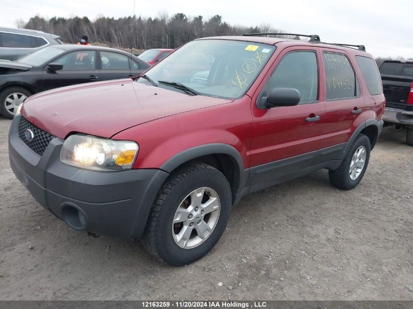 2006 Ford Escape Xlt VIN: 1FMYU03136KD44524 Lot: 12163259