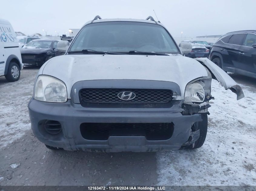 2004 Hyundai Santa Fe VIN: KM8SB13D14U610216 Lot: 12163472