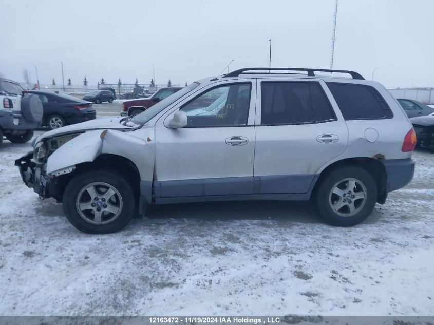 2004 Hyundai Santa Fe VIN: KM8SB13D14U610216 Lot: 12163472