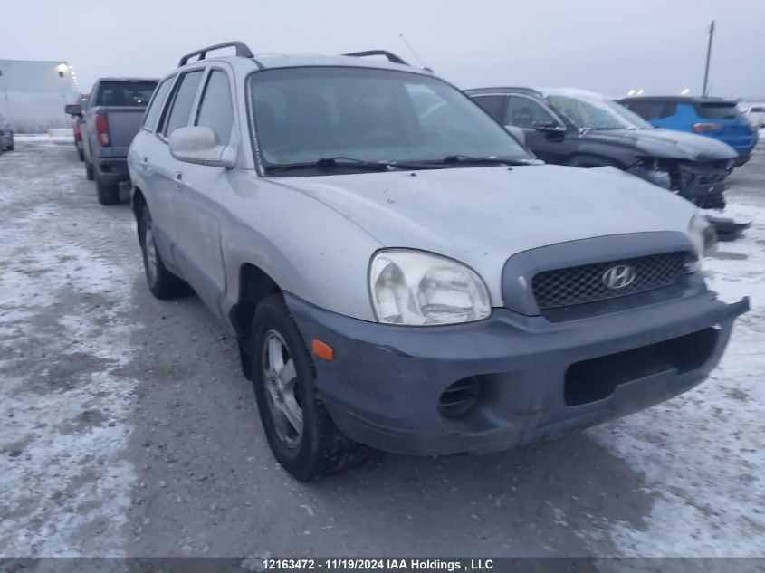 2004 Hyundai Santa Fe VIN: KM8SB13D14U610216 Lot: 12163472