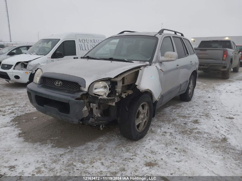 2004 Hyundai Santa Fe VIN: KM8SB13D14U610216 Lot: 12163472