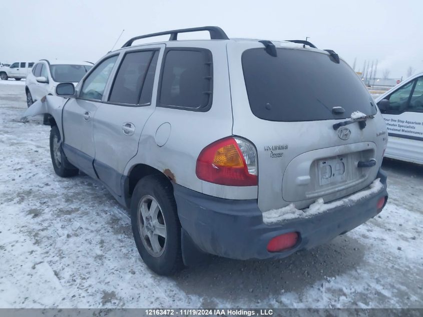 2004 Hyundai Santa Fe VIN: KM8SB13D14U610216 Lot: 12163472