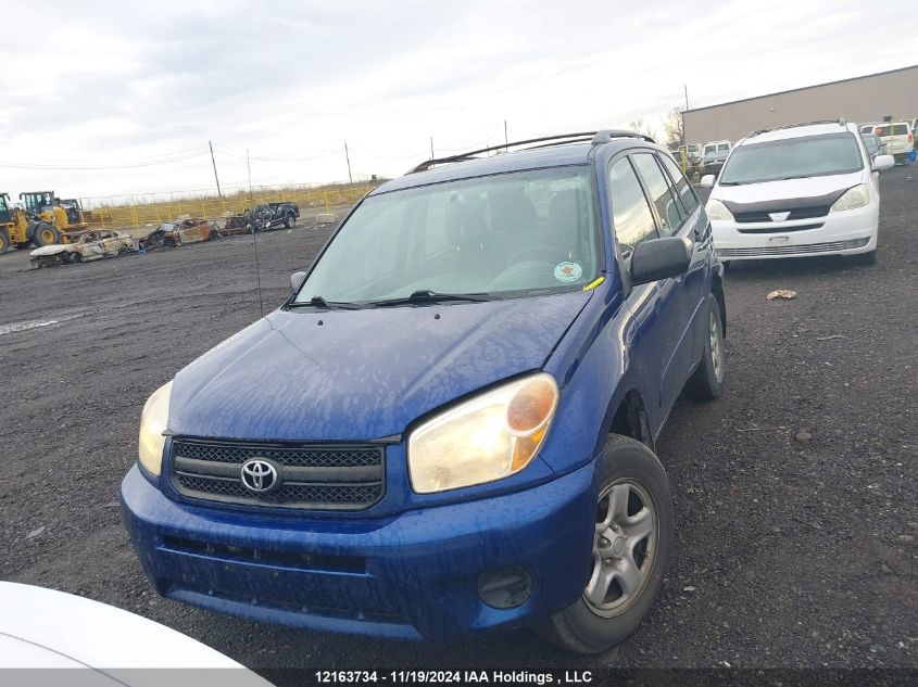 2004 Toyota Rav4 VIN: JTEHD20V546011217 Lot: 12163734