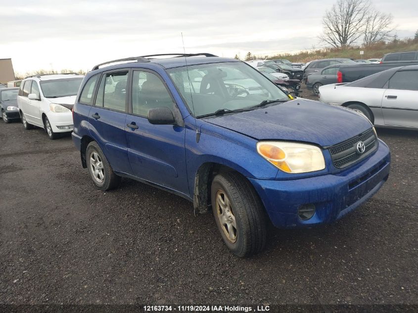 2004 Toyota Rav4 VIN: JTEHD20V546011217 Lot: 12163734