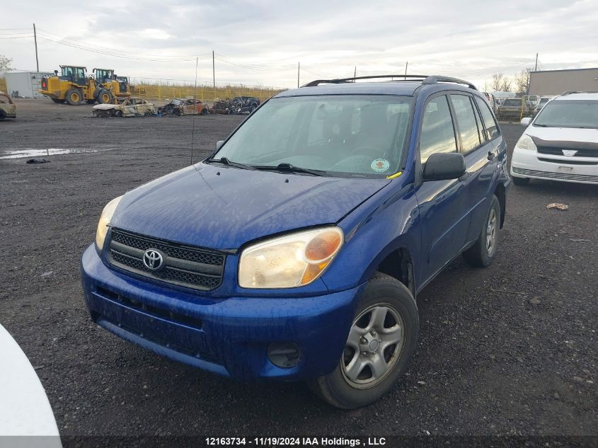 2004 Toyota Rav4 VIN: JTEHD20V546011217 Lot: 12163734