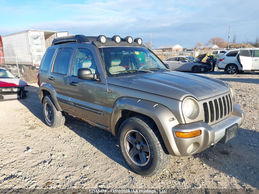 2004 Jeep Liberty Renegade VIN: 1J4GL38K14W219852 Lot: 12165478