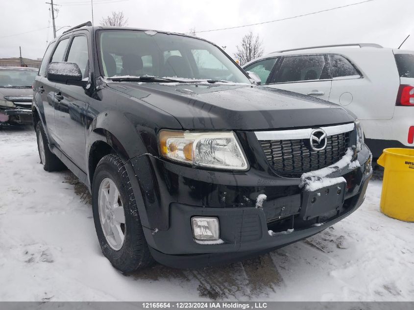 2010 Mazda Tribute I VIN: 4F2CY0C76AKM08068 Lot: 12165654