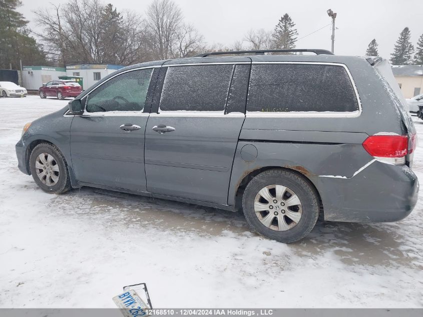 2010 Honda Odyssey VIN: 5FNRL3H57AB506900 Lot: 12168510