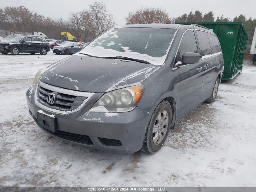 2010 Honda Odyssey VIN: 5FNRL3H57AB506900 Lot: 12168510