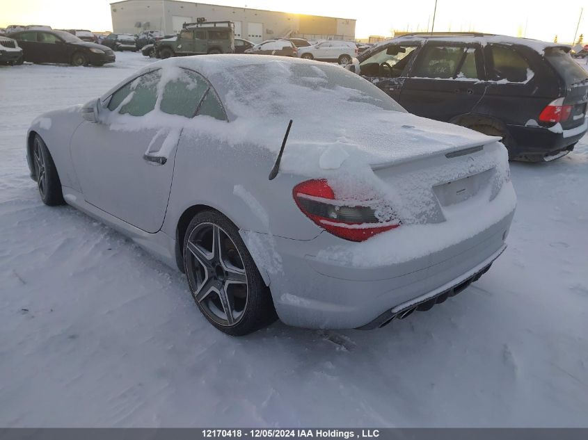 2010 Mercedes-Benz Slk-Class VIN: WDBWK7DA6AF237668 Lot: 12170418