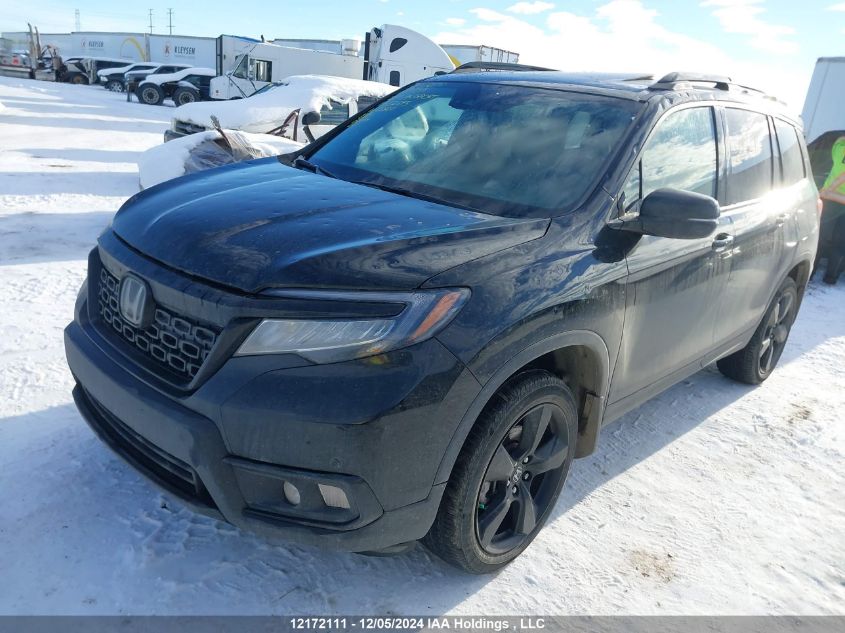 2019 Honda Passport VIN: 5FNYF8H99KB502593 Lot: 12172111