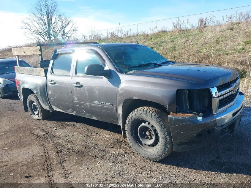 2010 Chevrolet Silverado 1500 VIN: 3GCRKSE37AG149079 Lot: 12173132