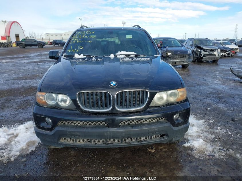 2006 BMW X5 VIN: 5UXFA13576LY33370 Lot: 12173554