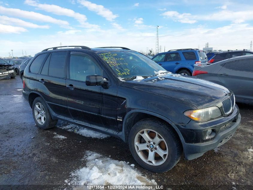 2006 BMW X5 VIN: 5UXFA13576LY33370 Lot: 12173554