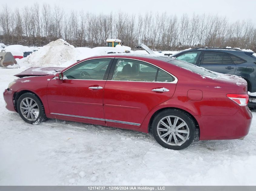 2012 Lexus Es 350 350 VIN: JTHBK1EG3C2489905 Lot: 12174737