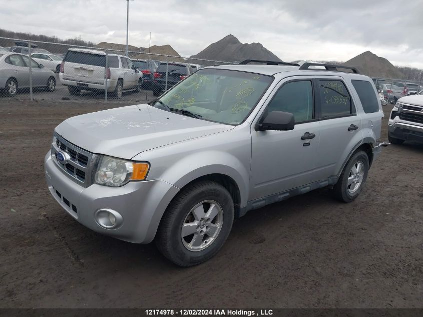 2011 Ford Escape Xlt VIN: 1FMCU9DG3BKC33337 Lot: 12174978