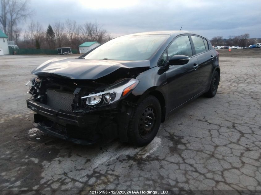 2017 Kia Forte Lx VIN: KNAFK5A8XH5680300 Lot: 12175153