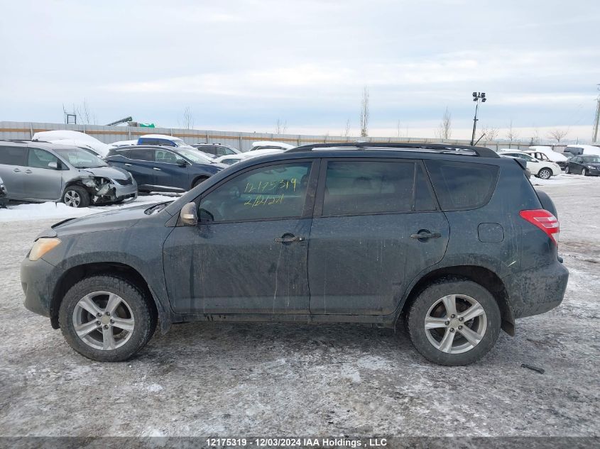 2011 Toyota Rav4 VIN: 2T3BF4DV2BW131109 Lot: 12175319