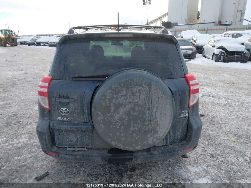 2011 Toyota Rav4 VIN: 2T3BF4DV2BW131109 Lot: 12175319