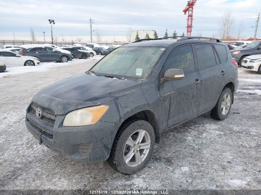 2011 Toyota Rav4 VIN: 2T3BF4DV2BW131109 Lot: 12175319