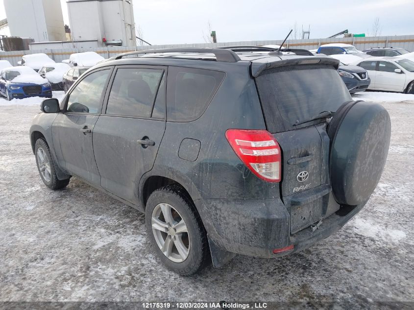 2011 Toyota Rav4 VIN: 2T3BF4DV2BW131109 Lot: 12175319