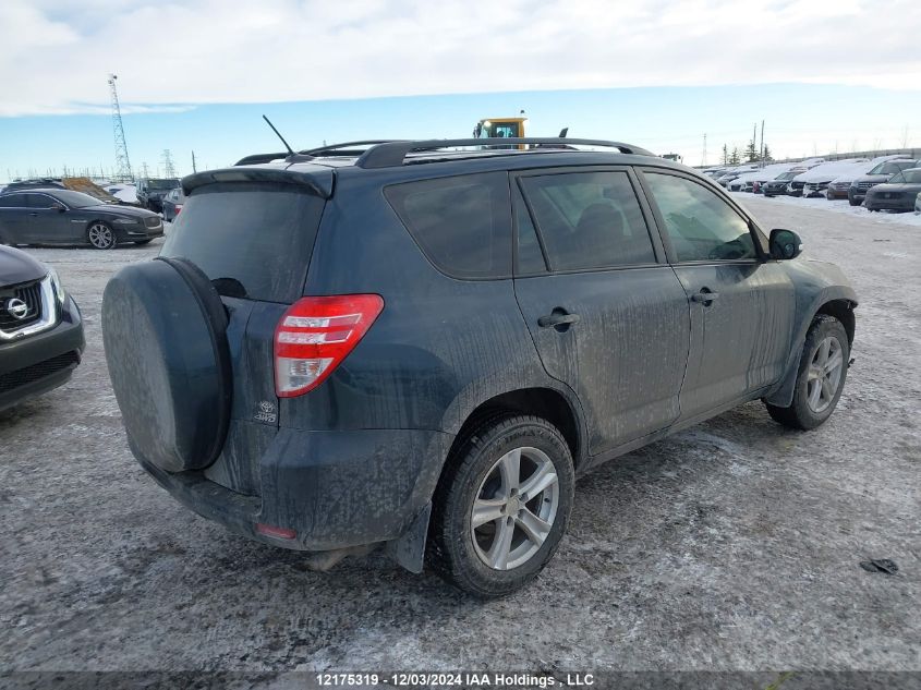 2011 Toyota Rav4 VIN: 2T3BF4DV2BW131109 Lot: 12175319