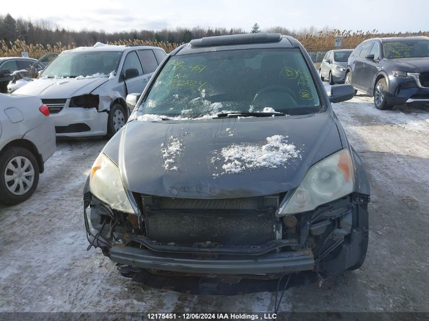 2010 Honda Cr-V Ex VIN: 5J6RE4H58AL802824 Lot: 12175451