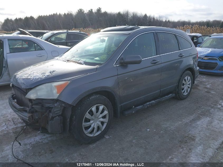 2010 Honda Cr-V Ex VIN: 5J6RE4H58AL802824 Lot: 12175451