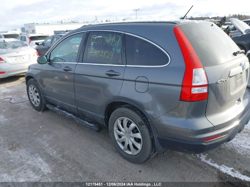 2010 Honda Cr-V Ex VIN: 5J6RE4H58AL802824 Lot: 12175451