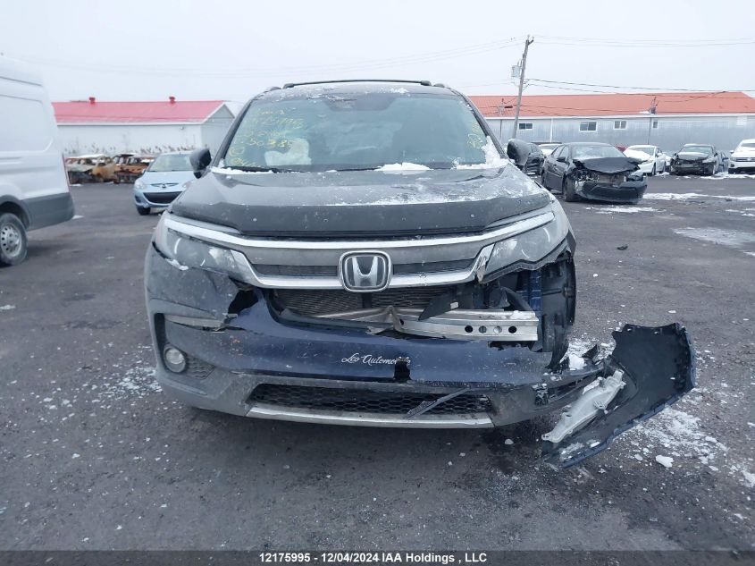 2020 Honda Pilot VIN: 5FNYF6H72LB503878 Lot: 12175995