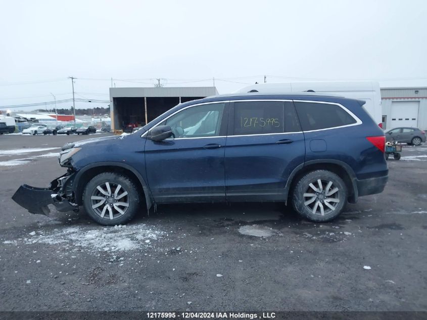 2020 Honda Pilot VIN: 5FNYF6H72LB503878 Lot: 12175995