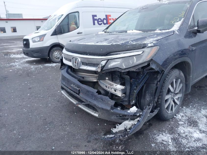 2020 Honda Pilot VIN: 5FNYF6H72LB503878 Lot: 12175995