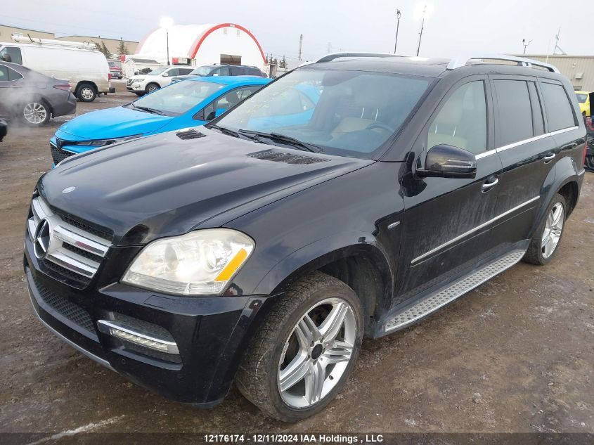 2011 Mercedes-Benz Gl-Class VIN: 4JGBF2FE2BA657137 Lot: 12176174