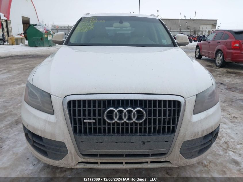 2009 Audi Q5 3.2 Premium VIN: WA1KK78R39A025717 Lot: 12177389