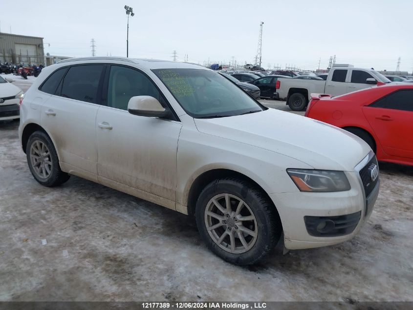 2009 Audi Q5 3.2 Premium VIN: WA1KK78R39A025717 Lot: 12177389