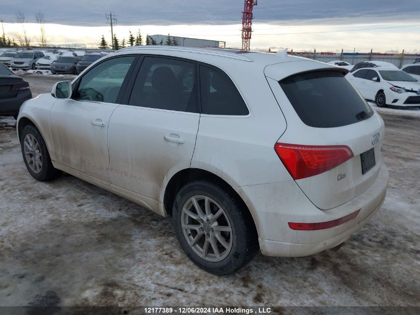 2009 Audi Q5 3.2 Premium VIN: WA1KK78R39A025717 Lot: 12177389