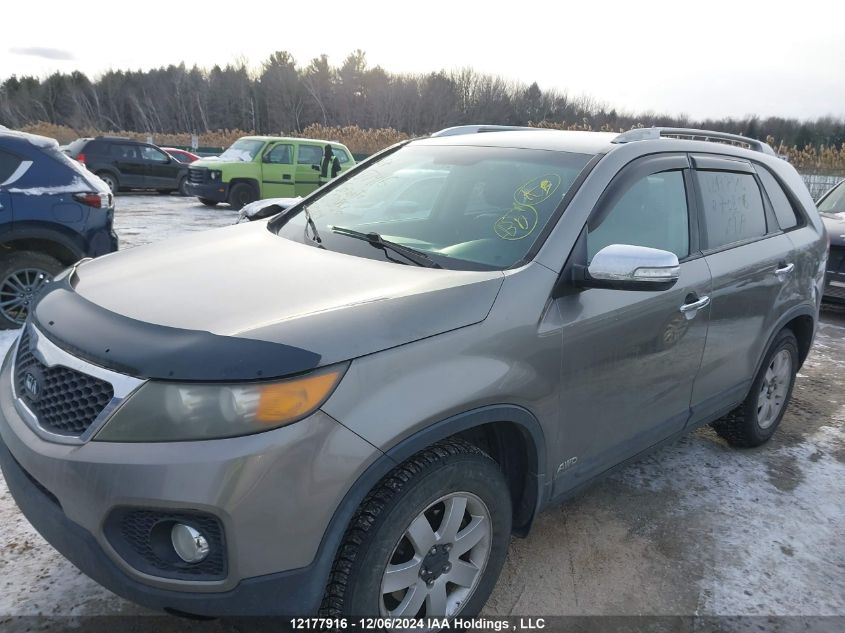 2011 Kia Sorento Ex VIN: 5XYKUDA29BG070856 Lot: 12177916