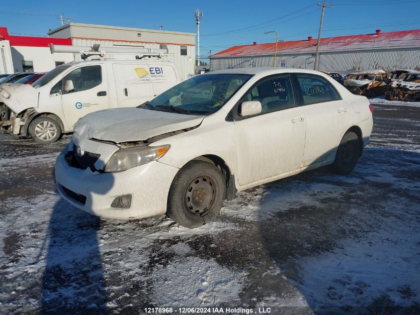 2010 Toyota Corolla VIN: 2T1BU4EE7AC339208 Lot: 12178968