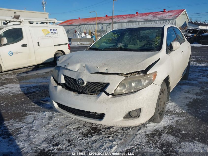 2010 Toyota Corolla VIN: 2T1BU4EE7AC339208 Lot: 12178968