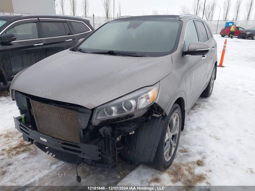 2016 Kia Sorento VIN: 5XYPKDA58GG126556 Lot: 12181848