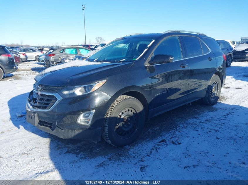 2019 Chevrolet Equinox VIN: 2GNAXUEV2K6168302 Lot: 12182149