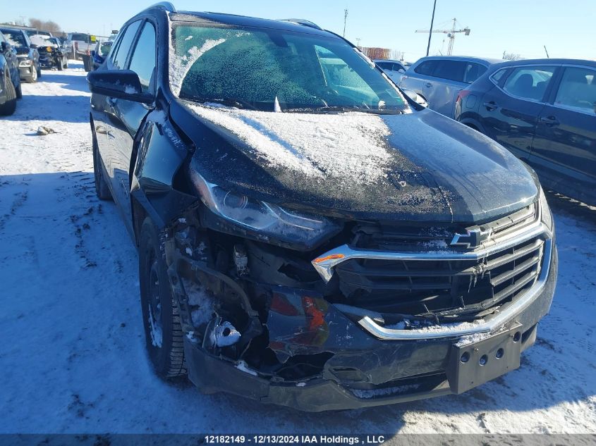 2019 Chevrolet Equinox VIN: 2GNAXUEV2K6168302 Lot: 12182149