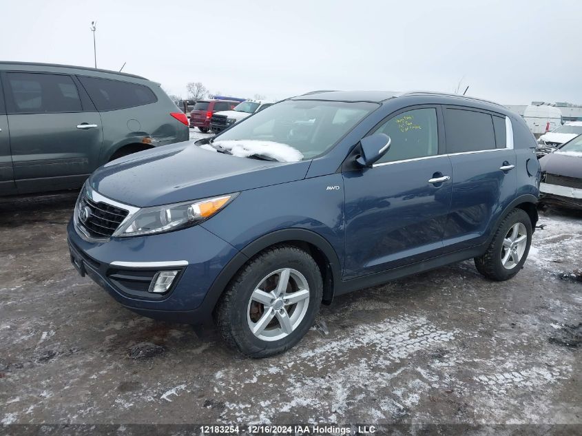 2016 Kia Sportage VIN: KNDPCCA64G7843436 Lot: 12183254