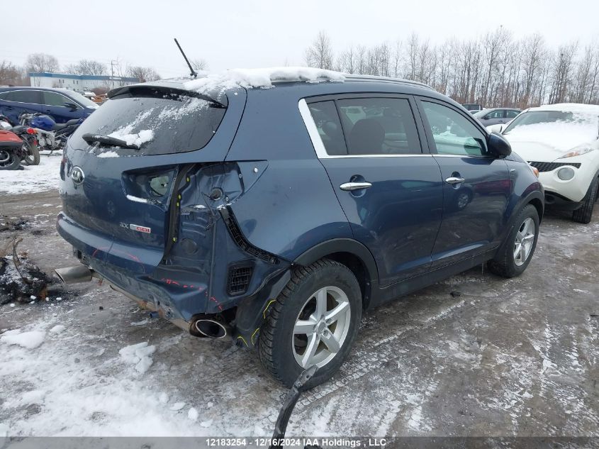 2016 Kia Sportage VIN: KNDPCCA64G7843436 Lot: 12183254