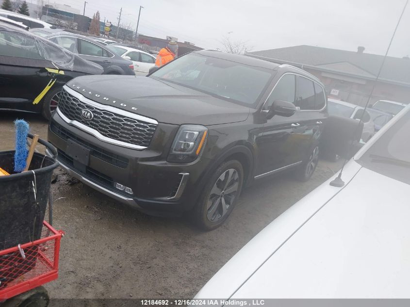 2021 Kia Telluride VIN: 5XYP5DHCXMG170680 Lot: 12184692