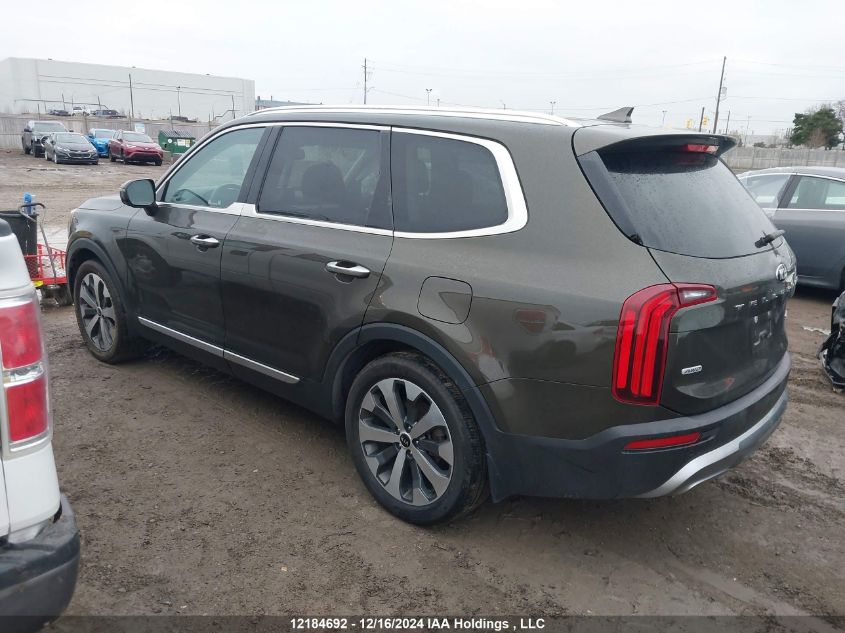 2021 Kia Telluride VIN: 5XYP5DHCXMG170680 Lot: 12184692