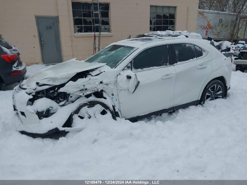 2023 Lexus Ux 250H VIN: JTHP9JBH4P2064567 Lot: 12185479