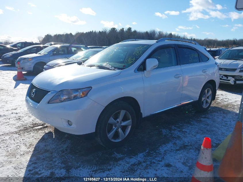 2010 Lexus Rx 350 VIN: 2T2BK1BA2AC015441 Lot: 12185627