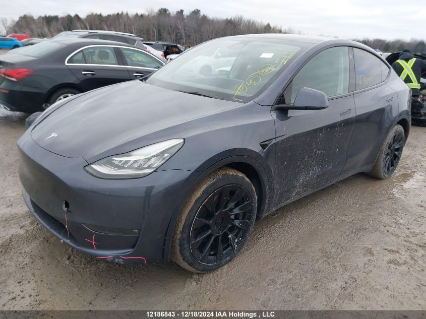 2022 Tesla Model Y VIN: 7SAYGDEE6NF468997 Lot: 12186843